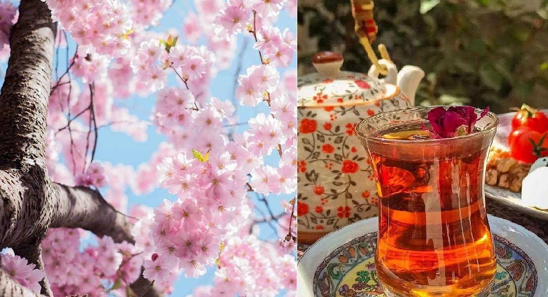 ثبت‌نام ارزاق صبحانه دانشجویی برای ساکنان خوابگاه‌های دانشگاه علامه‌طباطبائی